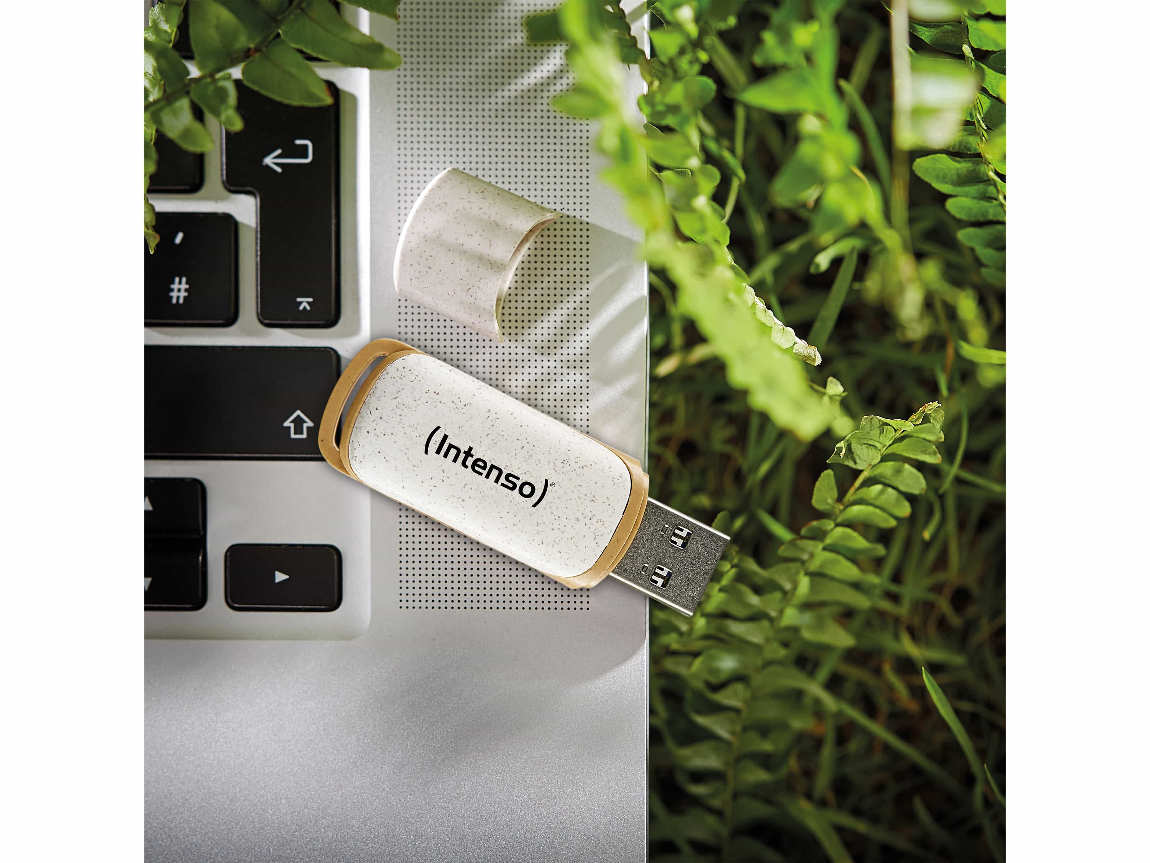 INTENSO USB 3.2-Stick INTENSO Green Line, 128 GB, beige/braun