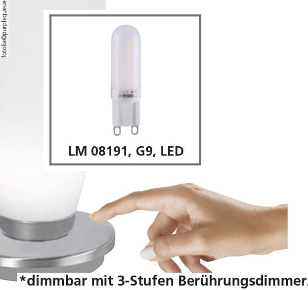 PAUL NEUHAUS LED-Tischleuchte 4013-55 stahl, G9, 3 W, 235 lm, 3000 K 