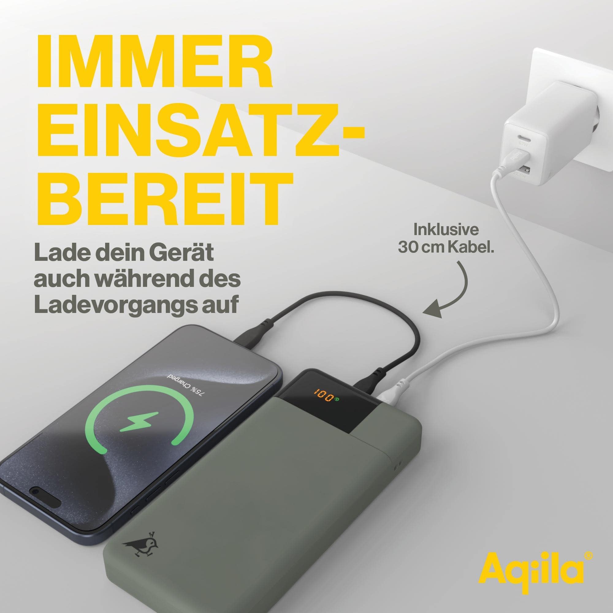 AQIILA Powerbank Powerbird B20+, 65 W, 20.000mAh, 1x USB-A, 2x USB-C, moosgrün