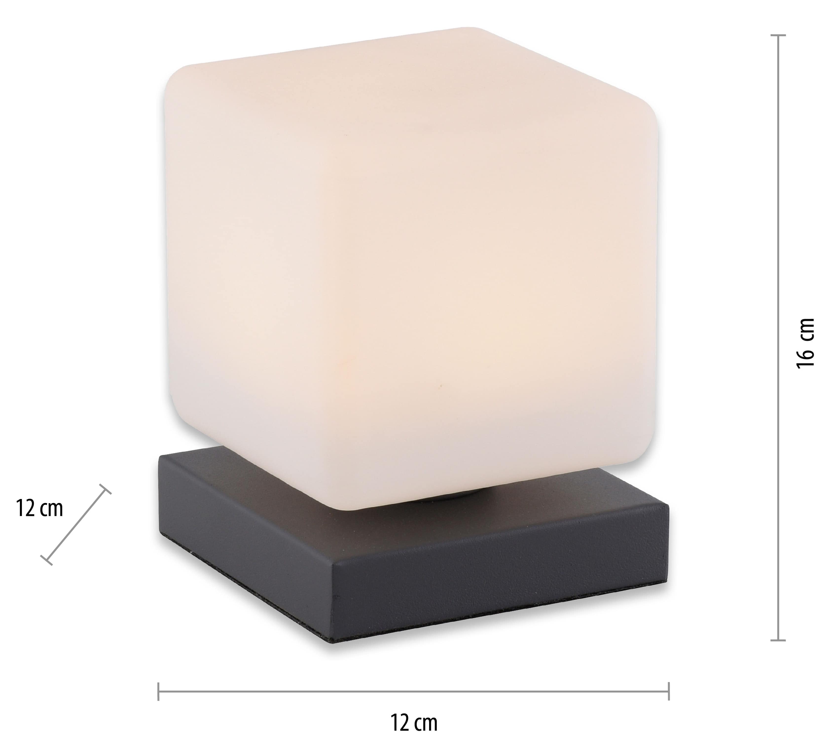 PAUL NEUHAUS LED-Tischleuchte 4036-13 anthrazit, 5 W, 580 lm, 3000 K