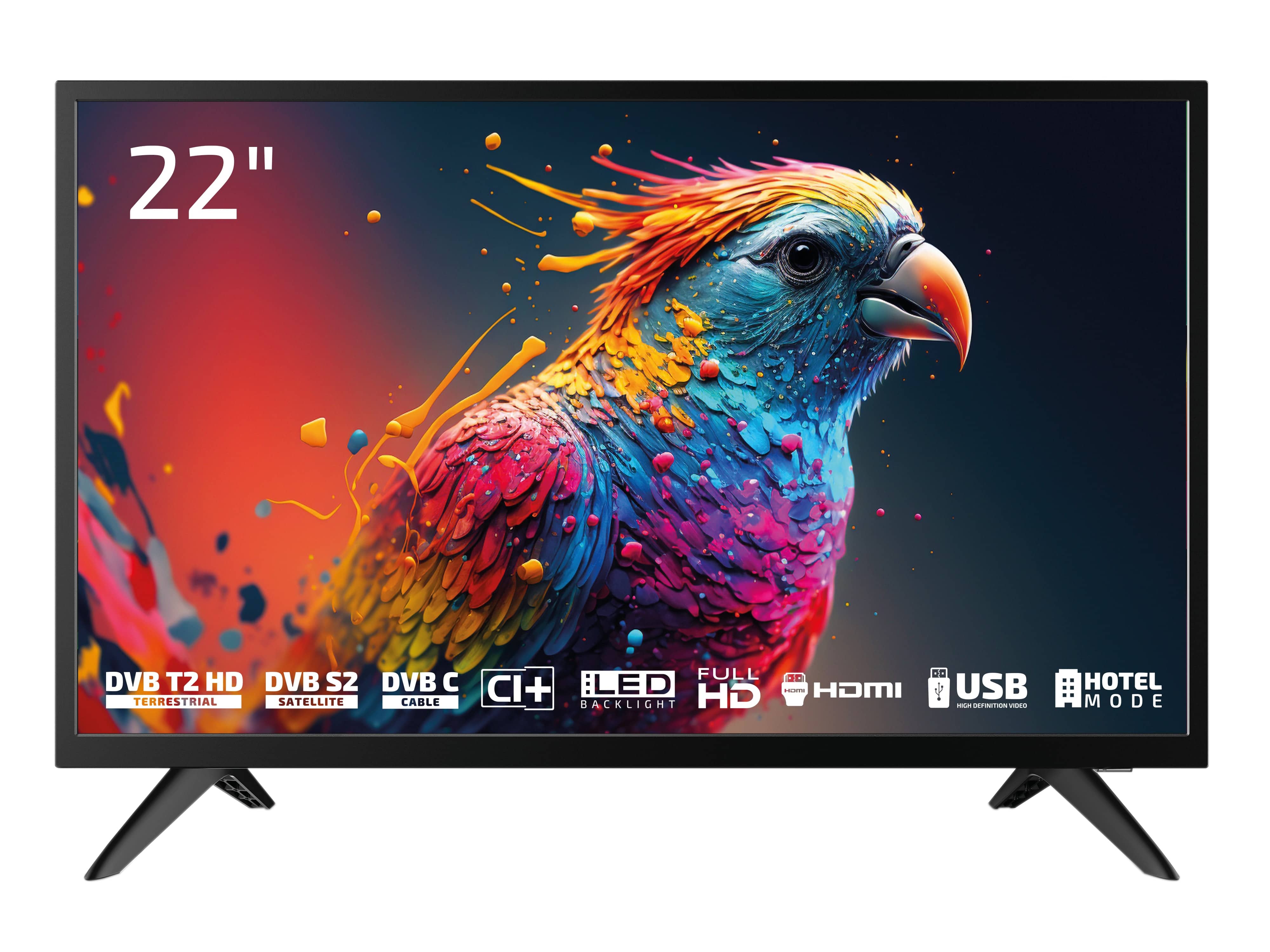 DYON LED-TV Enter 22 Pro X2, 55 cm (22"), EEK E, FullHD