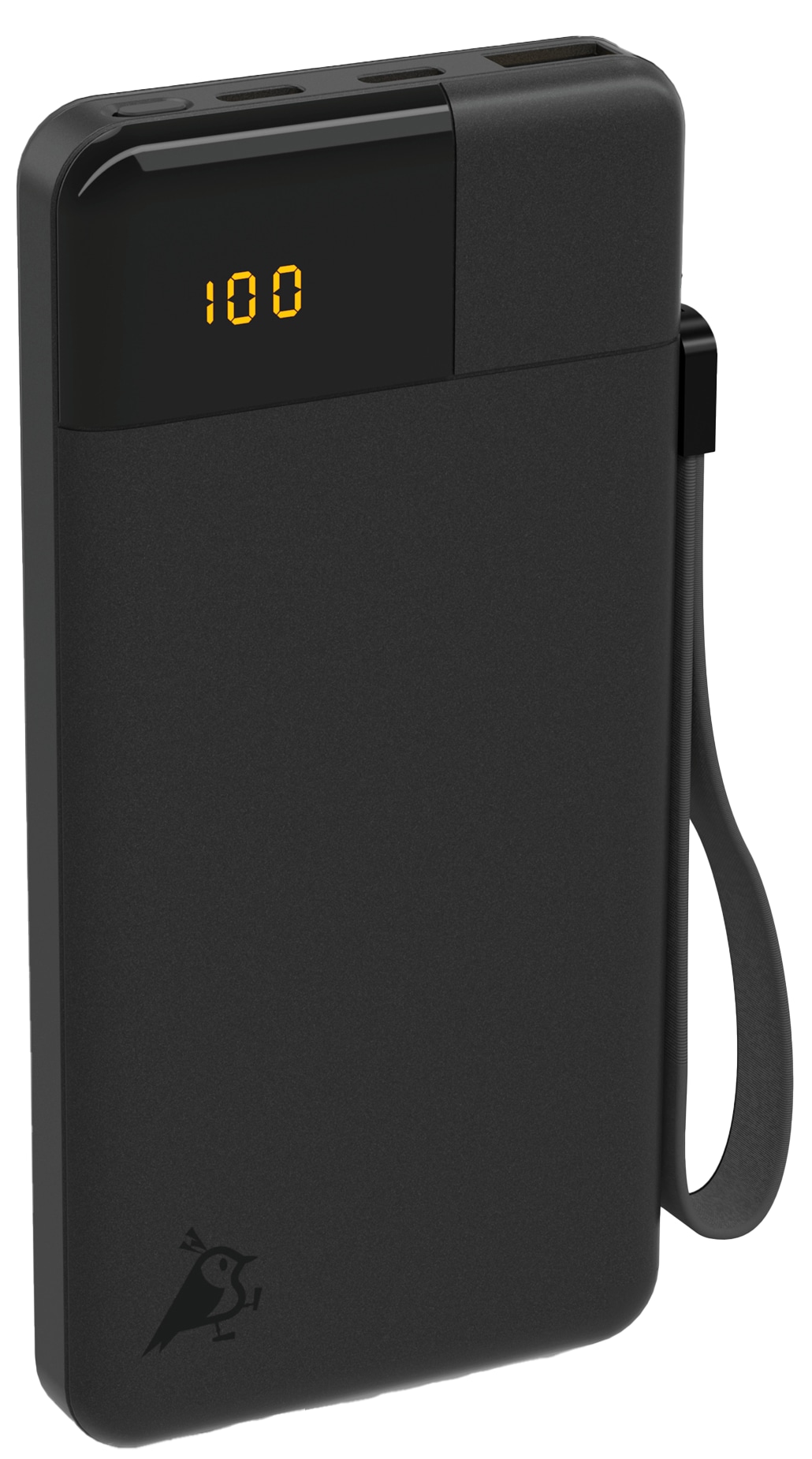 AQIILA Powerbank Powerbird B10, 20 W, 10.000mAh, 1x USB-A, 2x USB-C, schwarz