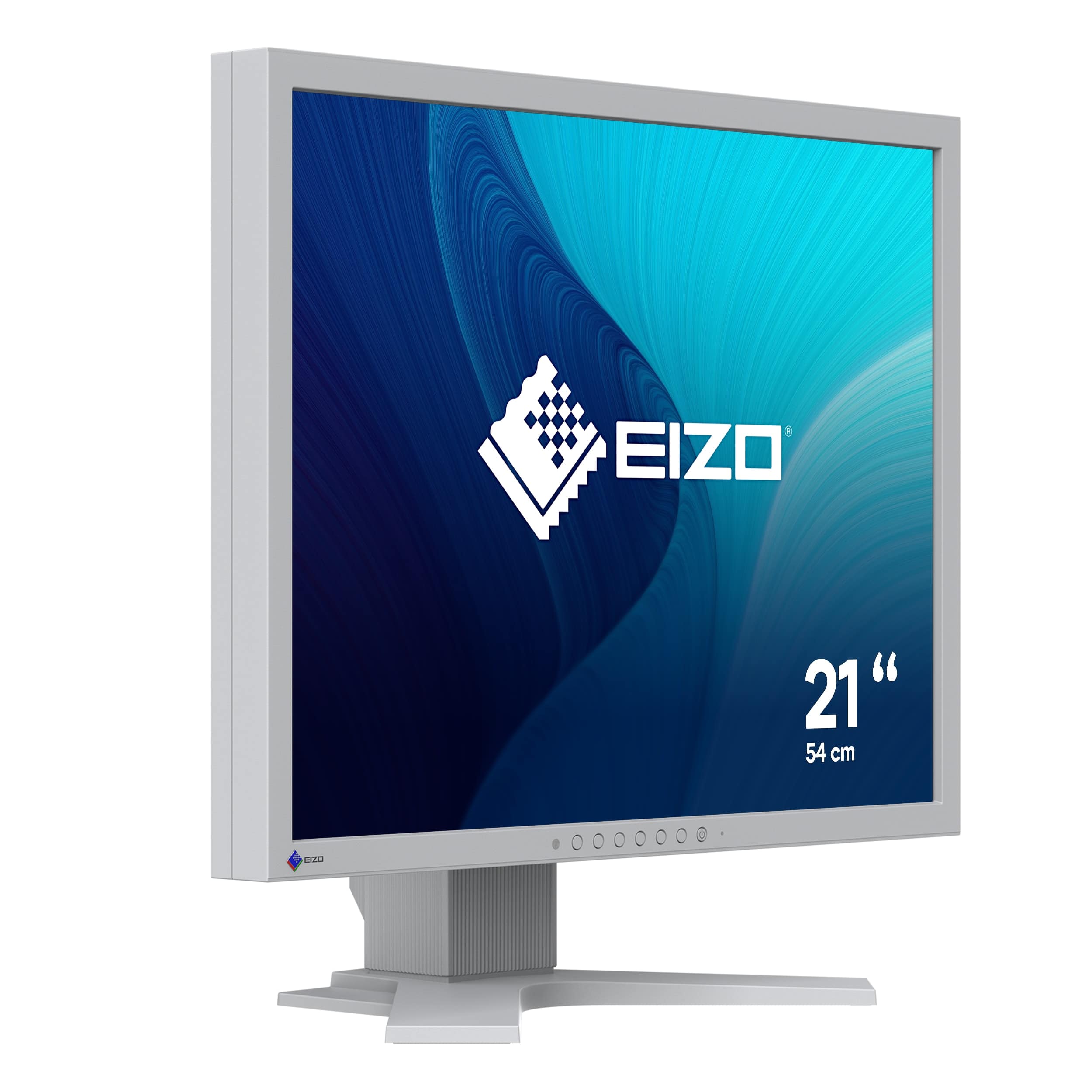 EIZO Monitor S2134-BK 54,1cm (21,3") 