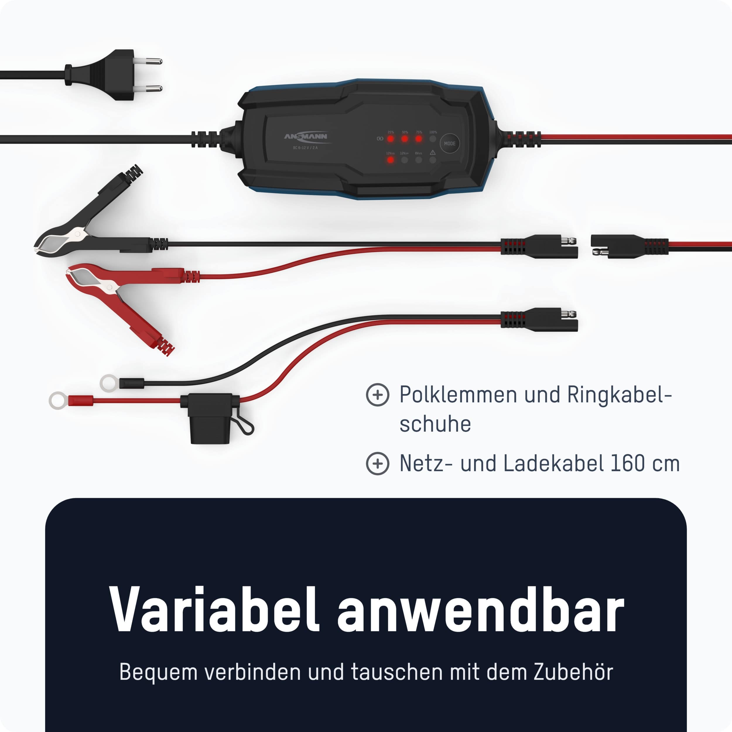 ANSMANN Autobatterie-Ladegerät, 1001-0143, Bleiladegerät, BC 6...12 V-, 2 A