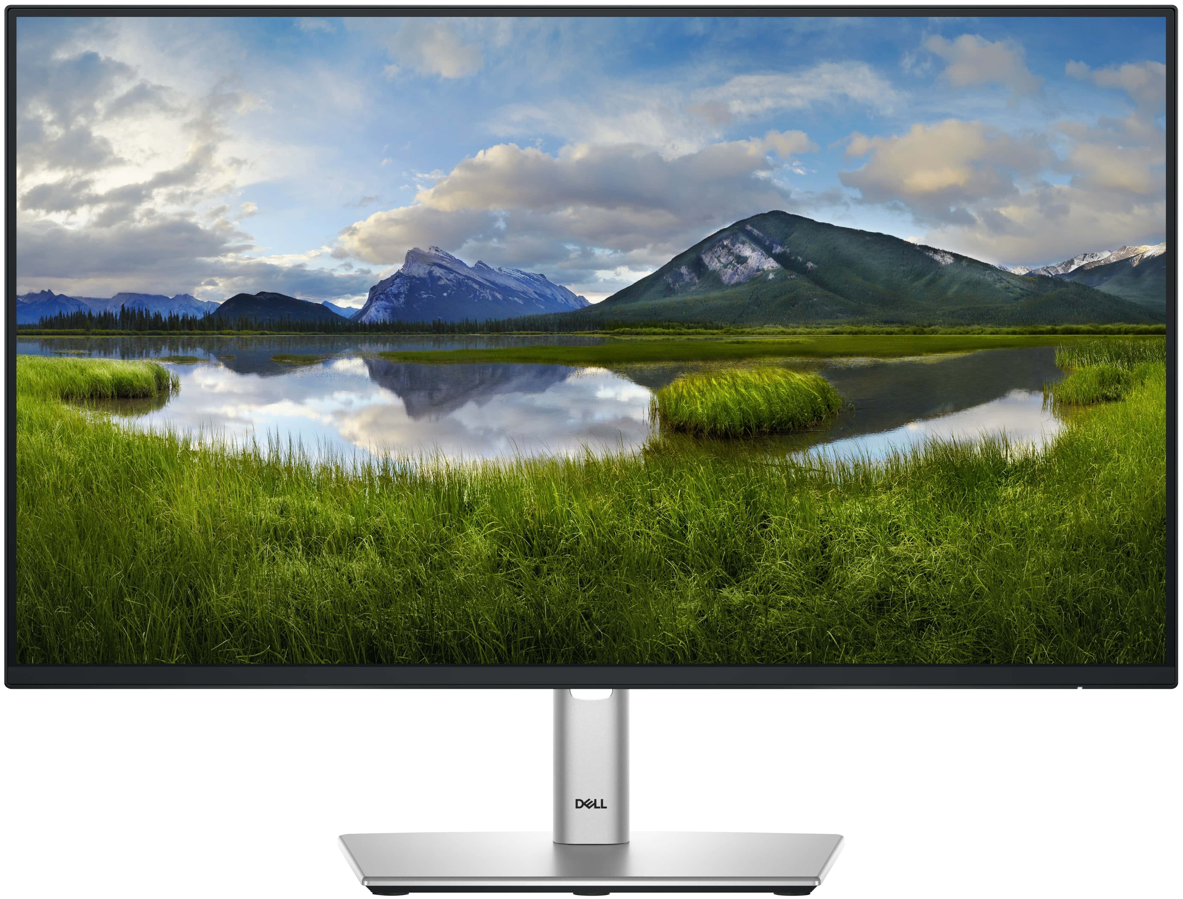 Dell Monitor P2425H